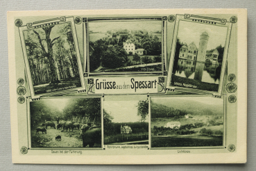 AK Grüsse aus dem Spessart / 1909 / Mehrbildkarte / 1000 jähr Eiche b Rohrbrunn / Villa Elsava / Schloss Mespelbrunn / Lichtenau